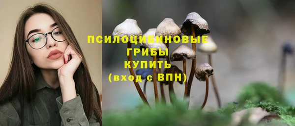 спайс Арсеньев