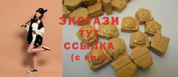 гашик Аркадак