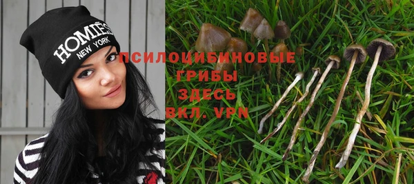 метадон Осташков