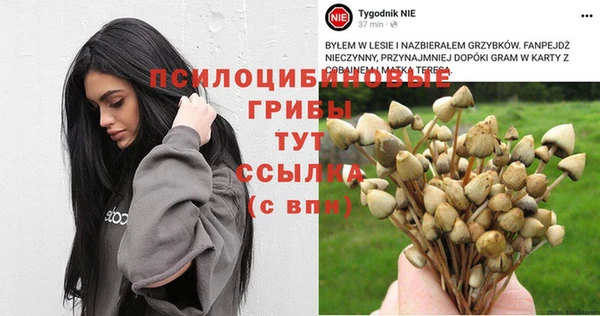 спайс Арсеньев