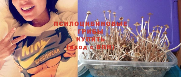 гашик Аркадак
