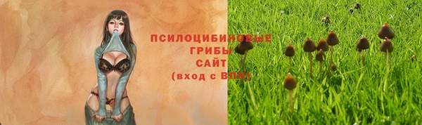 спайс Арсеньев